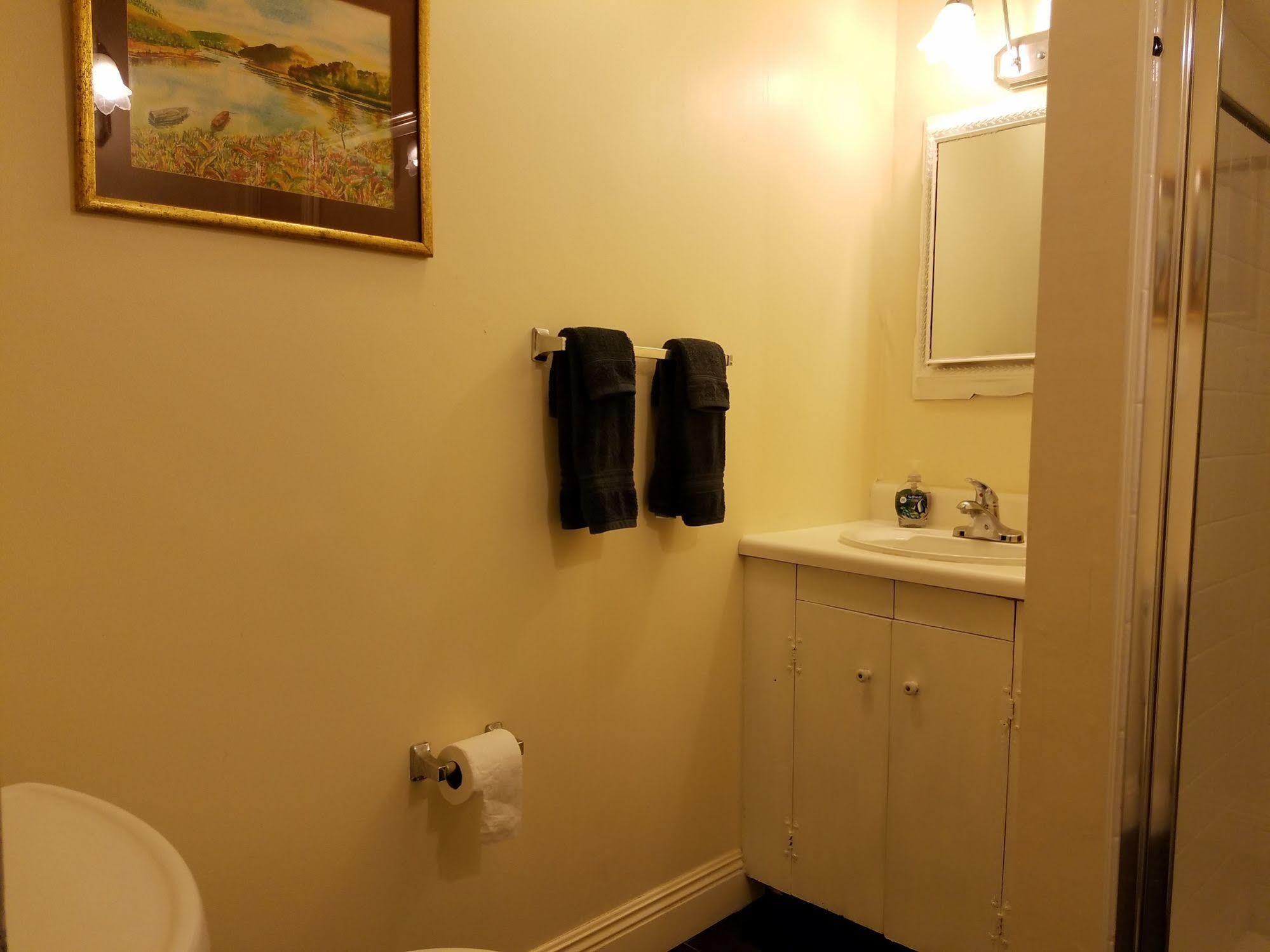 ניו אורלינס Lion'S Inn Bed And Breakfast מראה חיצוני תמונה